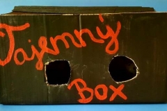 60387792_440795596684284_1413269812066385920_n