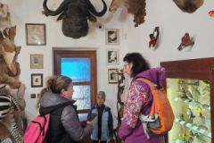 1-Farma-Bruntal-5-2025