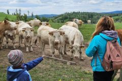 4-Farma-Bruntal-5-2025