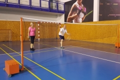 Team building (badminton)