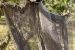 27998953-4c5b-4358-9b2d-10f0316399e3