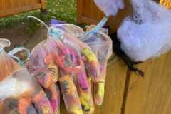 35938bdd-6b34-4ad0-9750-17e1ab9e3e9b