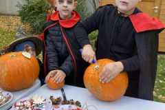 4ed09b03-7735-4358-9c25-834d5c78c1b3