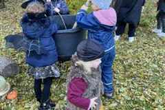 727c3f67-213a-4f85-9501-97be16c030f4