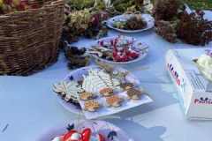 924101b3-7ee5-4488-81fe-c34dc15fc2d9