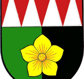 Frýdecko-místecká poradna na Dni obce Staříč