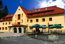 Téma vzdělávání „Sebepoškozování“ bylo pro pěstouny důležité